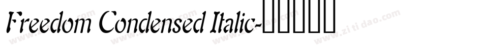 Freedom Condensed Italic字体转换